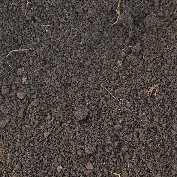 top soil typically contains a mixture of organic matter, minerals, and nutrients essential for plant growth